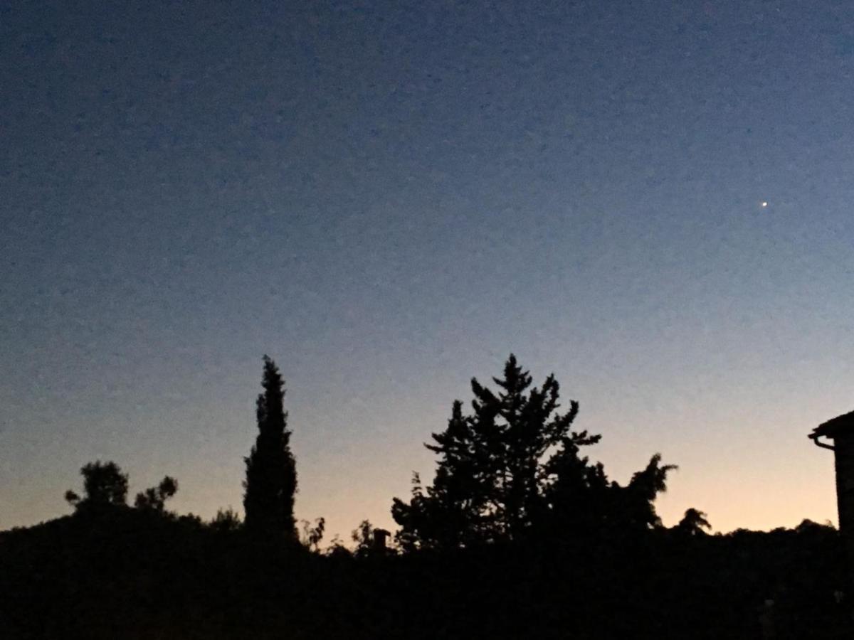 Country House La Collina Di Bargiano - Casa Raffaella Allerona 外观 照片