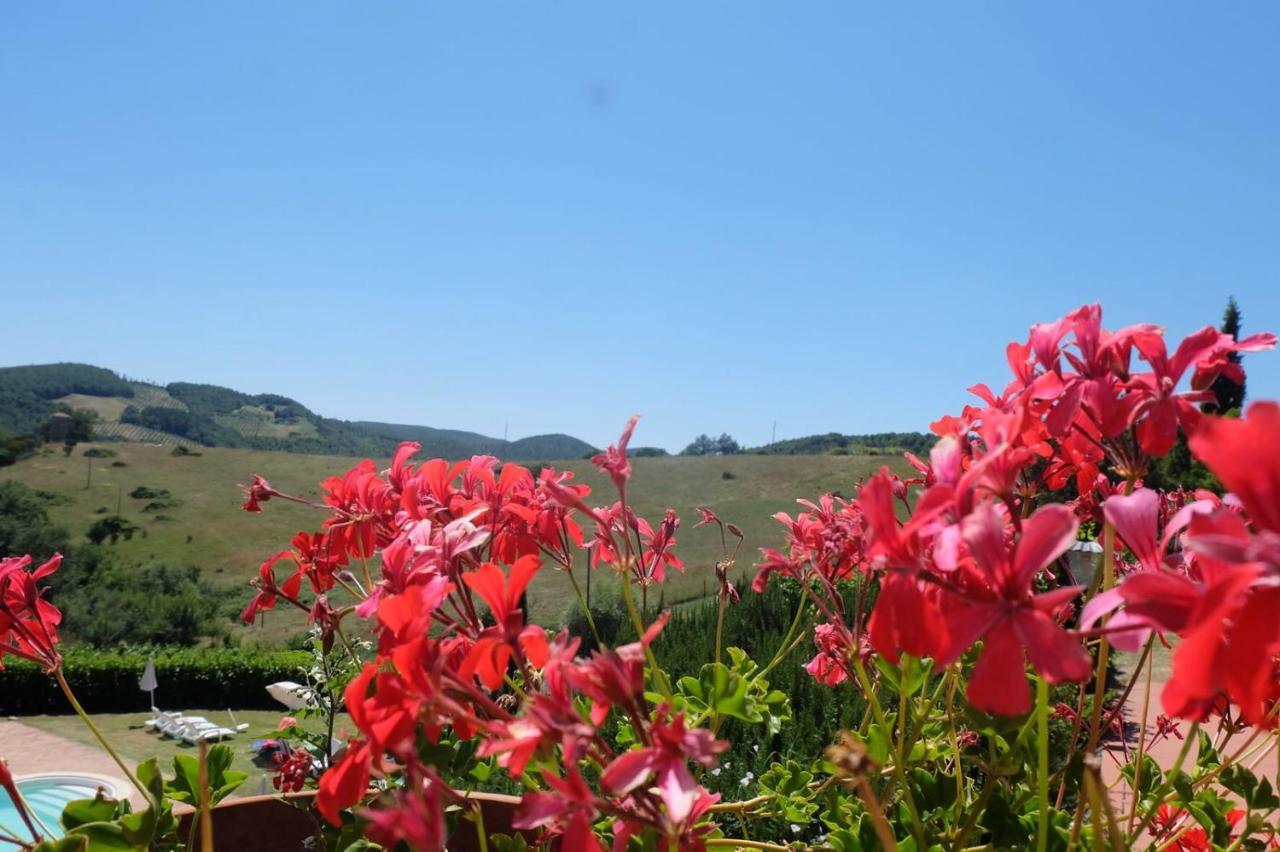 Country House La Collina Di Bargiano - Casa Raffaella Allerona 外观 照片
