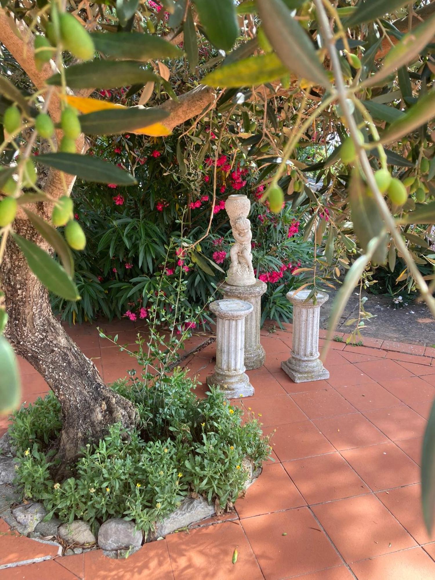 Country House La Collina Di Bargiano - Casa Raffaella Allerona 外观 照片