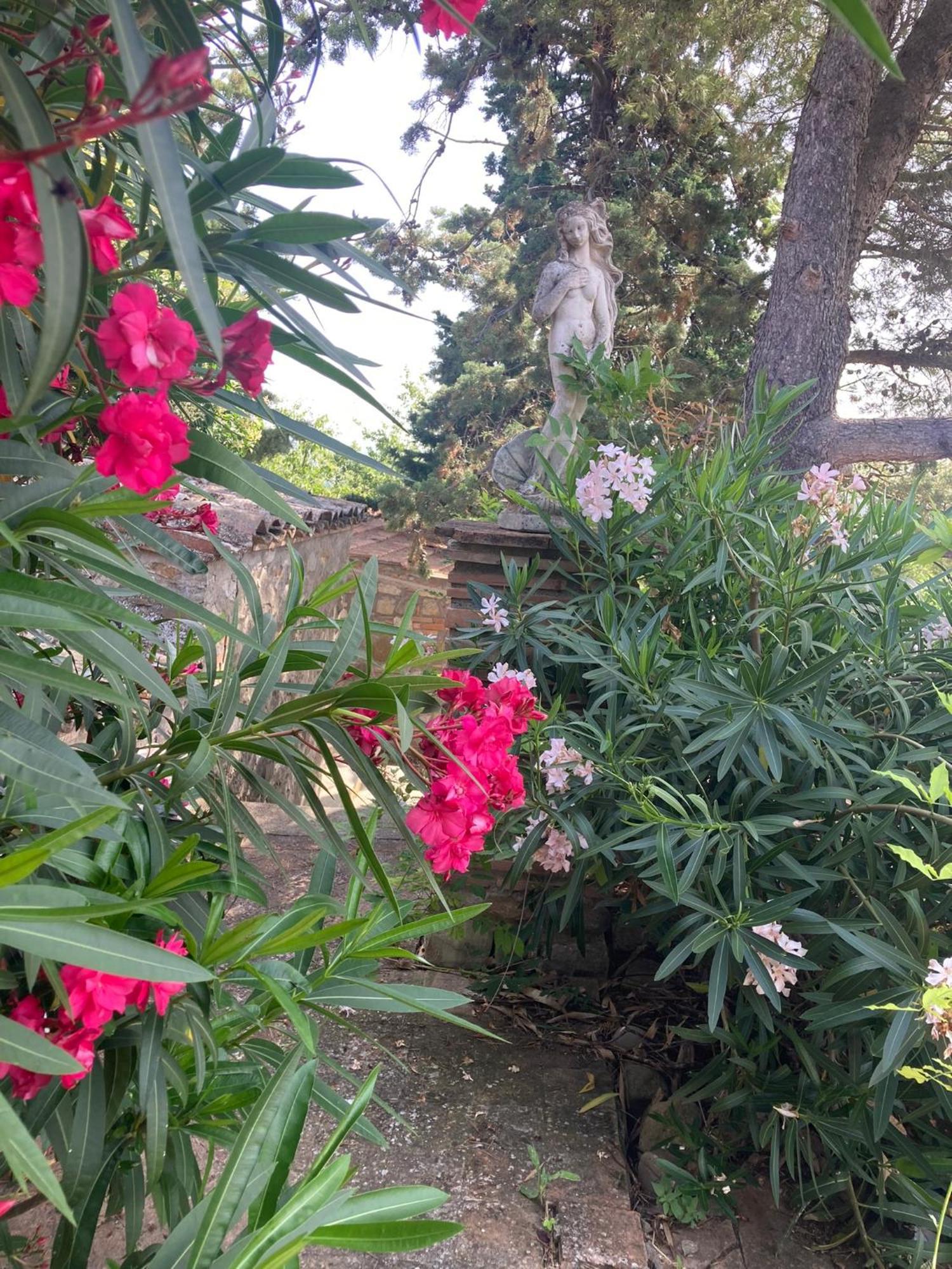 Country House La Collina Di Bargiano - Casa Raffaella Allerona 外观 照片