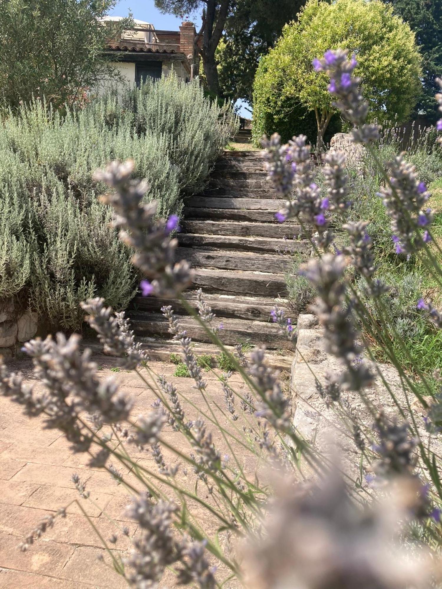 Country House La Collina Di Bargiano - Casa Raffaella Allerona 外观 照片