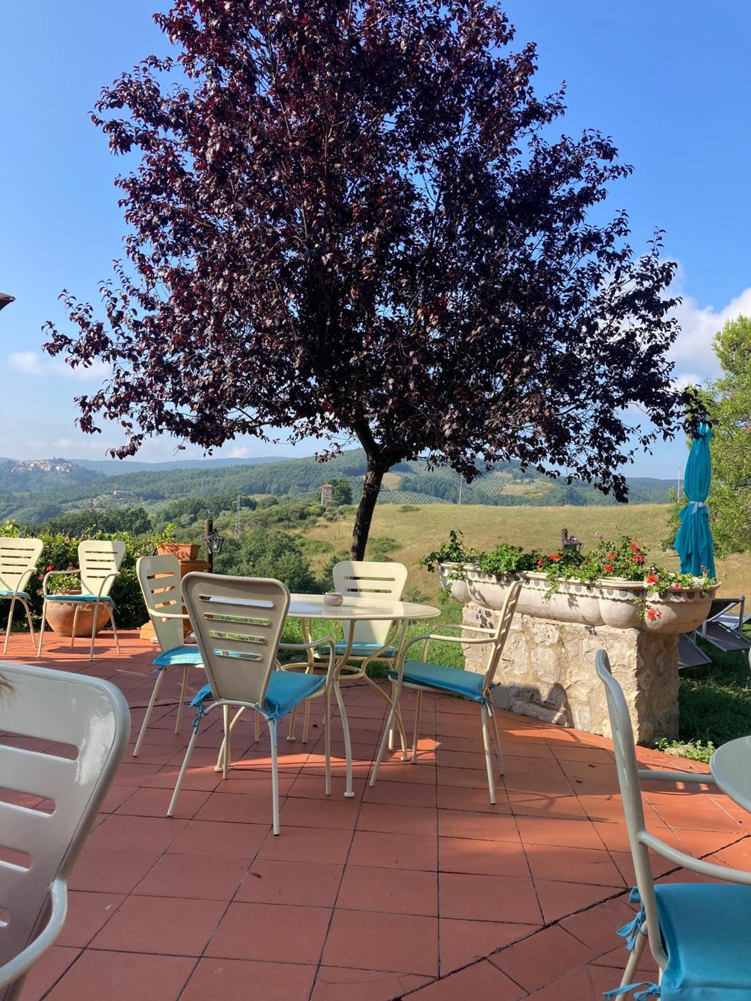 Country House La Collina Di Bargiano - Casa Raffaella Allerona 外观 照片