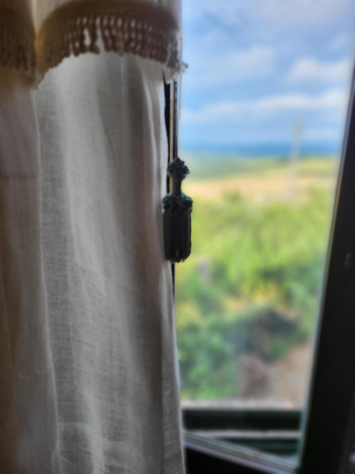 Country House La Collina Di Bargiano - Casa Raffaella Allerona 外观 照片